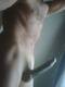 Private Photo of Sempresuu